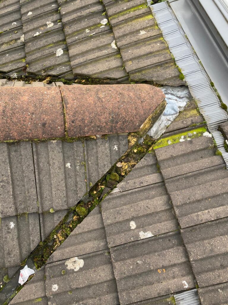 Roofing in Plumstead